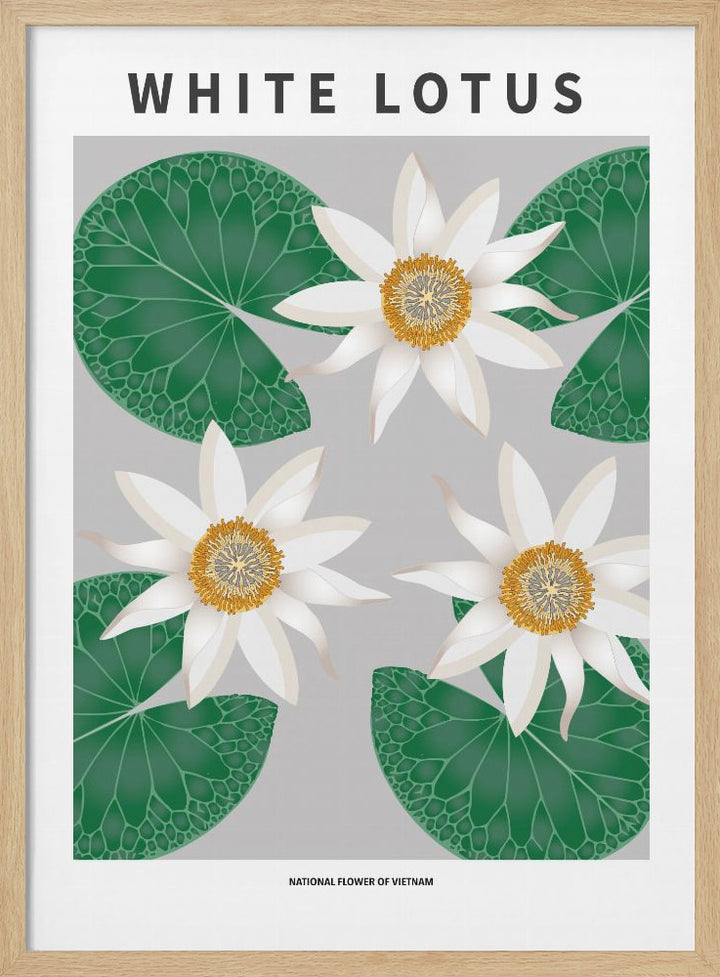 "White Lotus" Framed Textured Wall Art