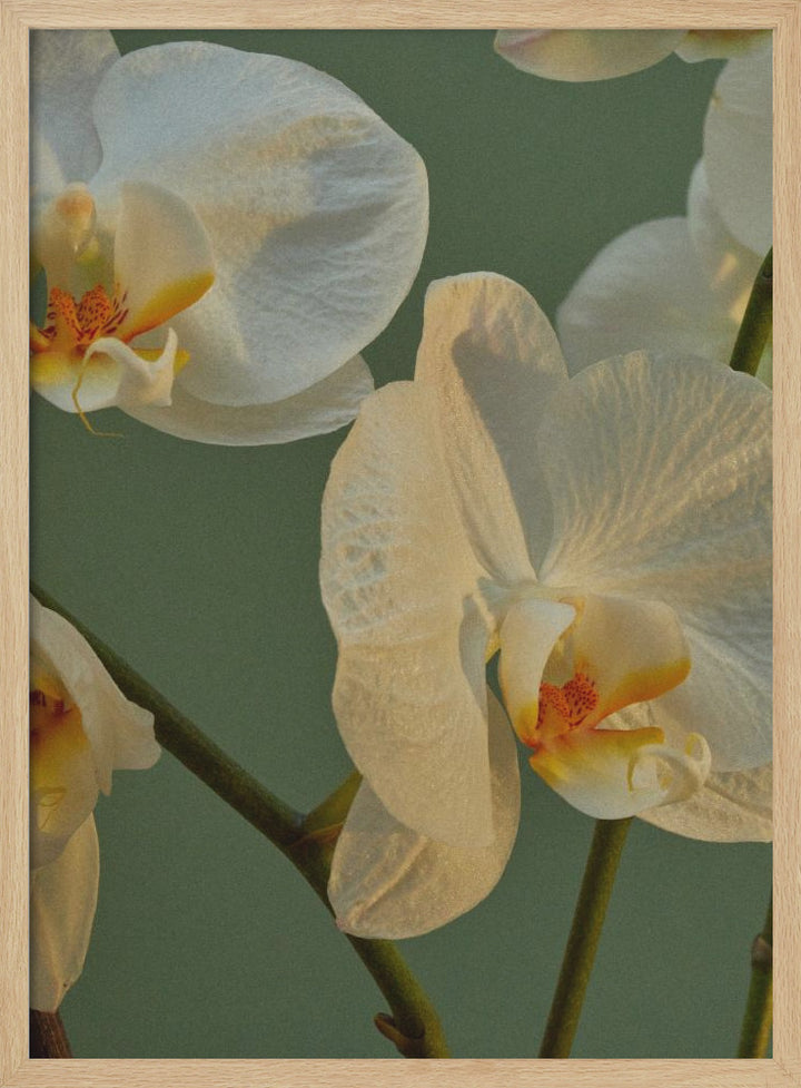 "Floral Haven" Framed Textured Wall Art