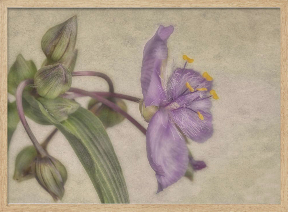 "Purple Flower" Framed Textured Wall Art