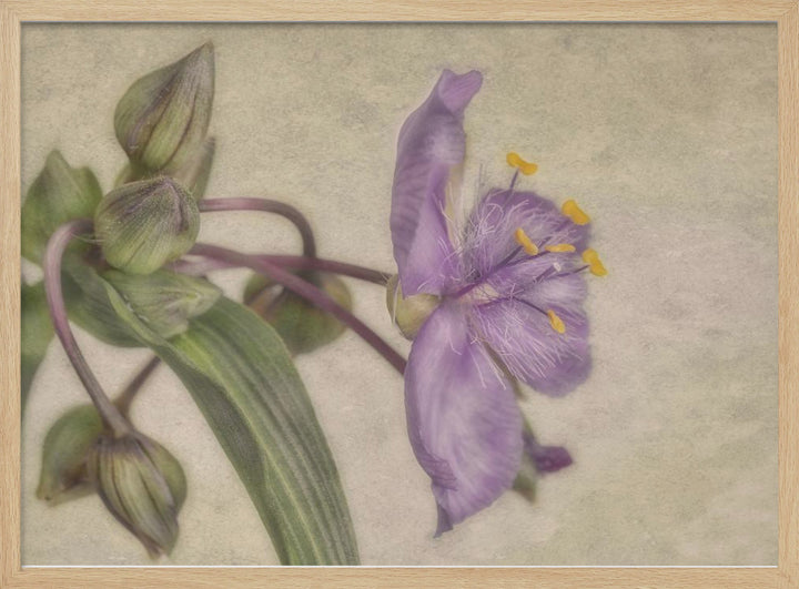 "Purple Flower" Framed Textured Wall Art