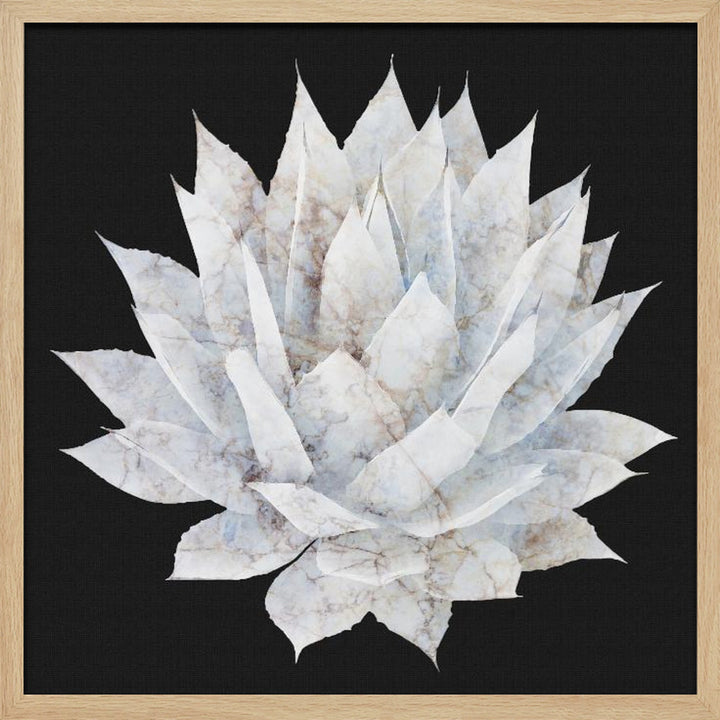 "Agave Agave" Framed Textured Wall Art