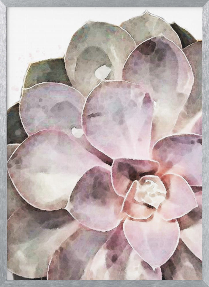 "Succulent Close-up" Framed Textured Wall Art