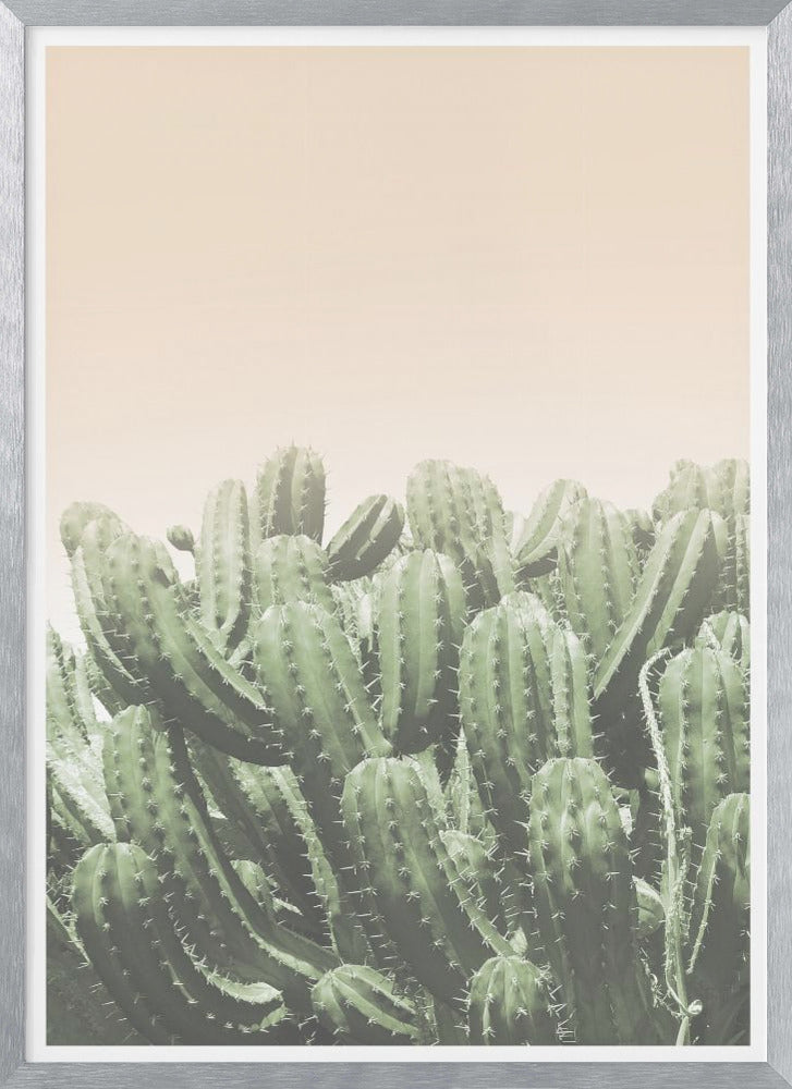 "Boho Cactus No.4" Framed Textured Wall Art