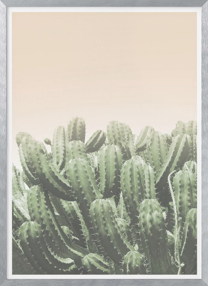 "Boho Cactus No.4" Framed Textured Wall Art