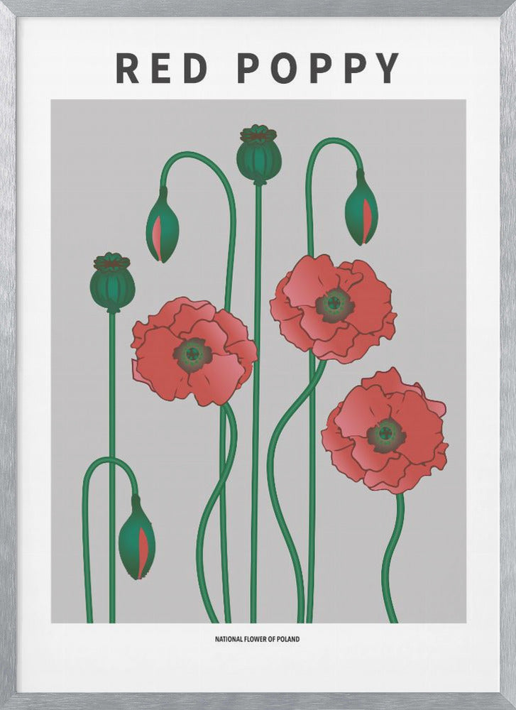 "Red Poppy" Framed Textured Wall Art