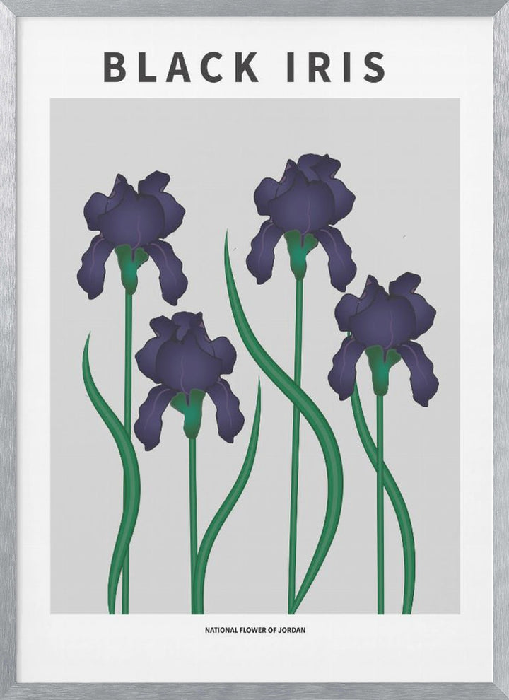 "Black Iris" Framed Textured Wall Art