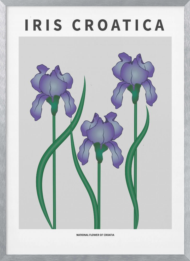 "Iris Croatica" Framed Textured Wall Art