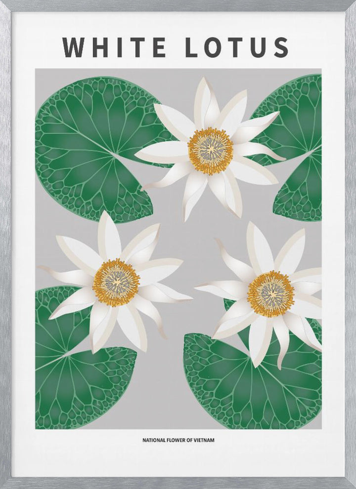 "White Lotus" Framed Textured Wall Art