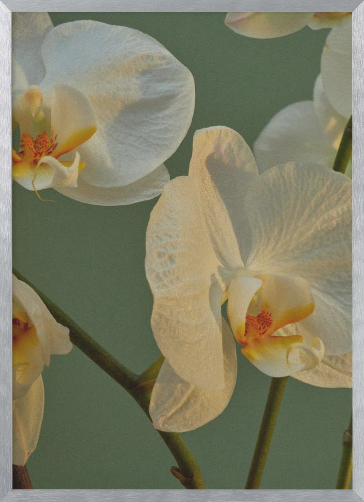 "Floral Haven" Framed Textured Wall Art