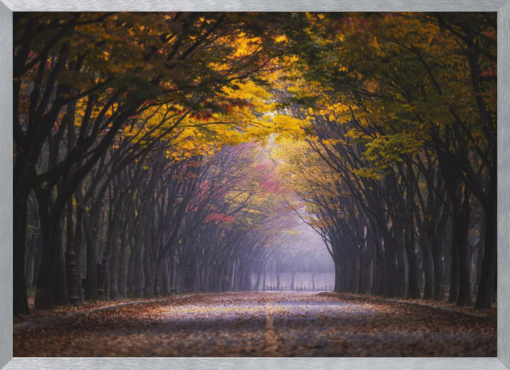 https://pictufy.com/api/interiors.php?p=2638766