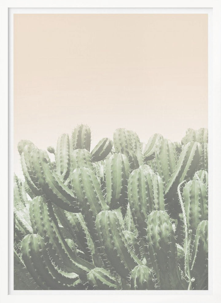 "Boho Cactus No.4" Framed Textured Wall Art