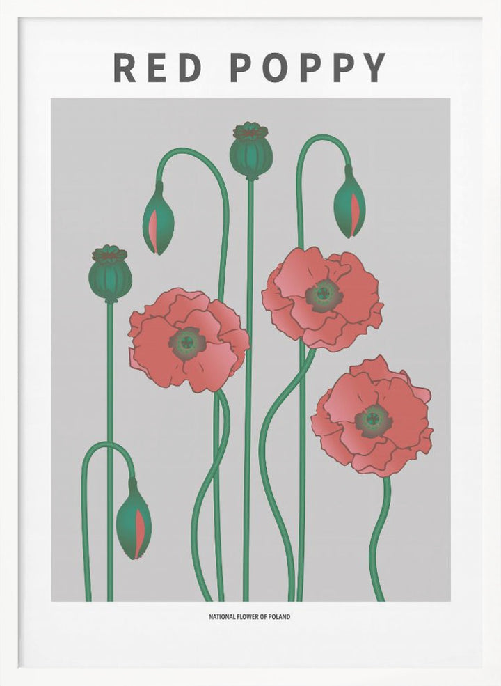 "Red Poppy" Framed Textured Wall Art