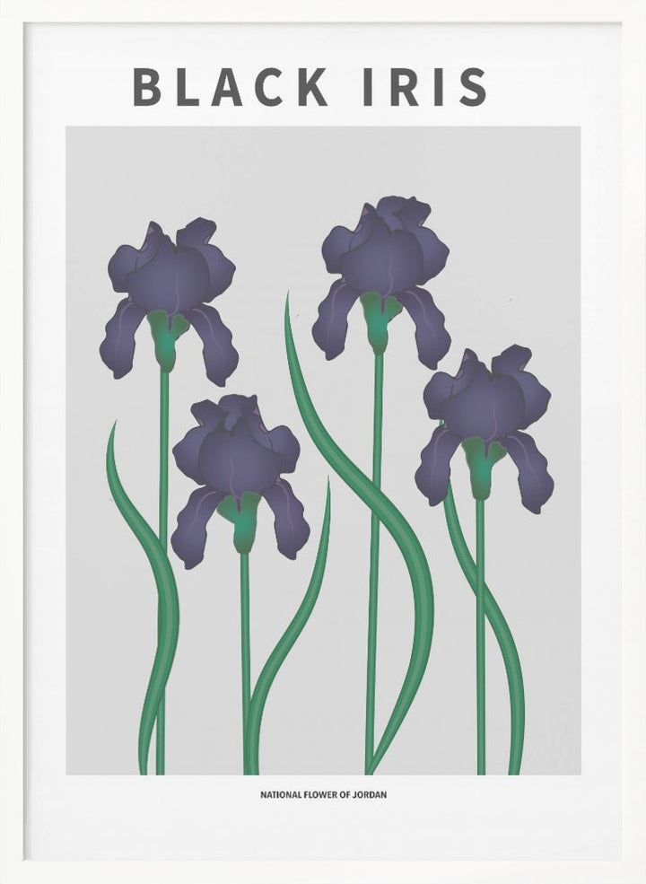 "Black Iris" Framed Textured Wall Art