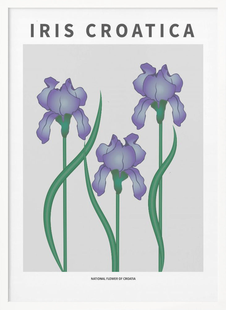 "Iris Croatica" Framed Textured Wall Art