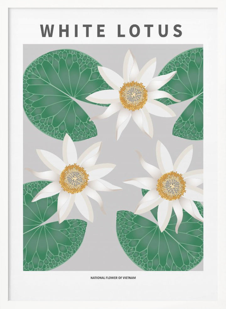 "White Lotus" Framed Textured Wall Art