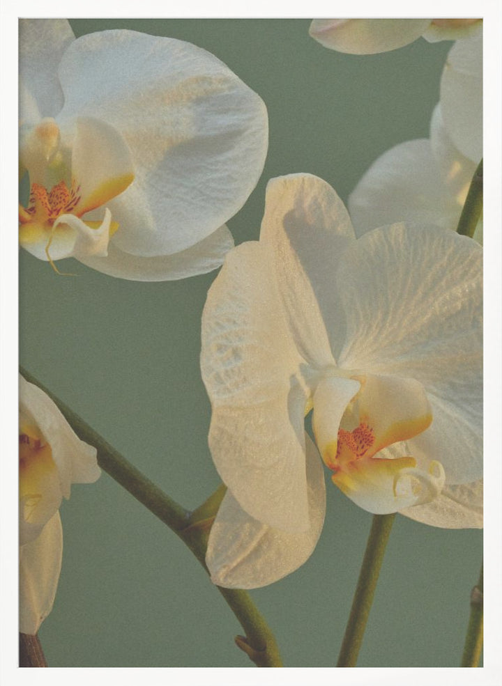 "Floral Haven" Framed Textured Wall Art