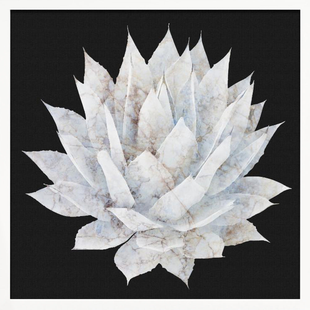 "Agave Agave" Framed Textured Wall Art