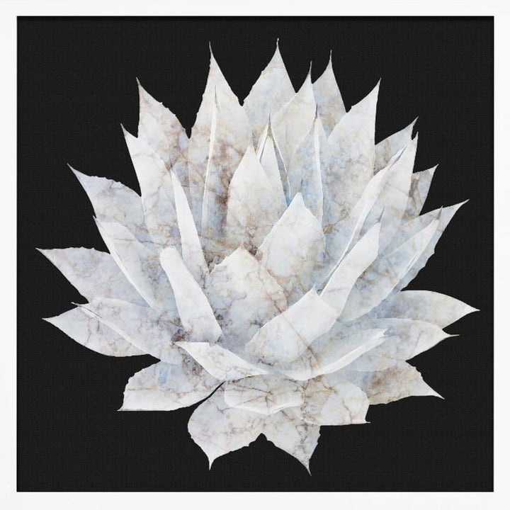 "Agave Agave" Framed Textured Wall Art