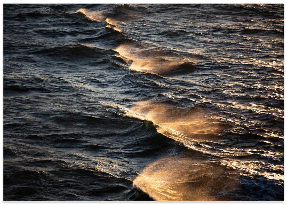 Sunkissed Waves