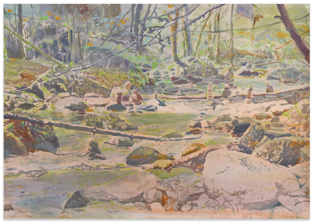 Peaceful Forest Stream