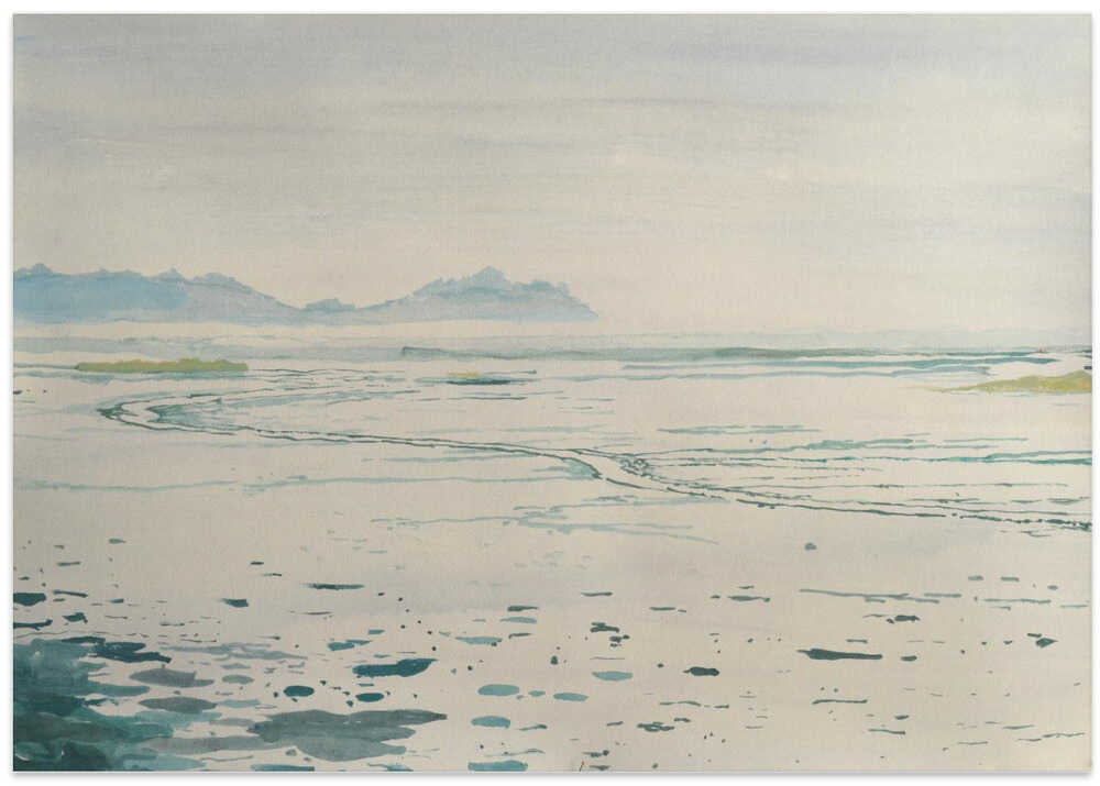 Misty Coastal Landscape