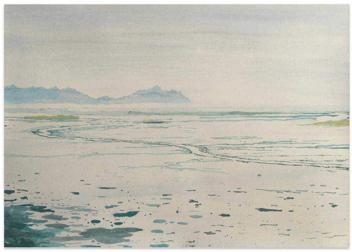 Misty Coastal Landscape