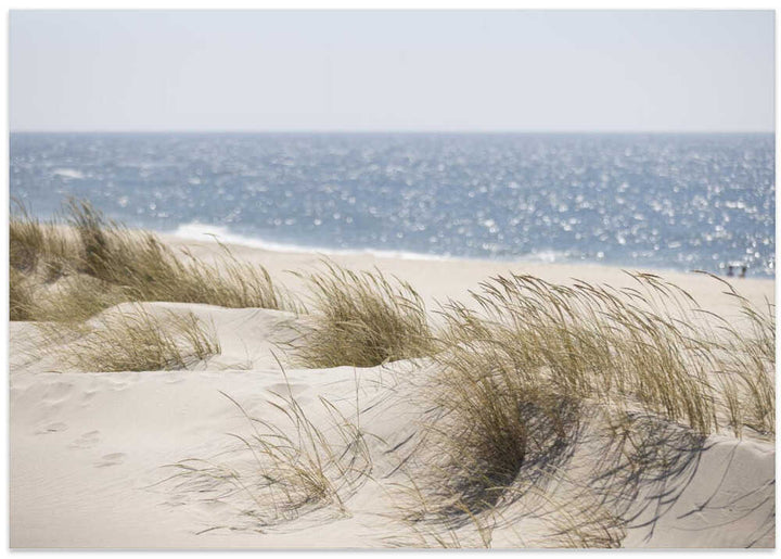 Serene Beach Dunes