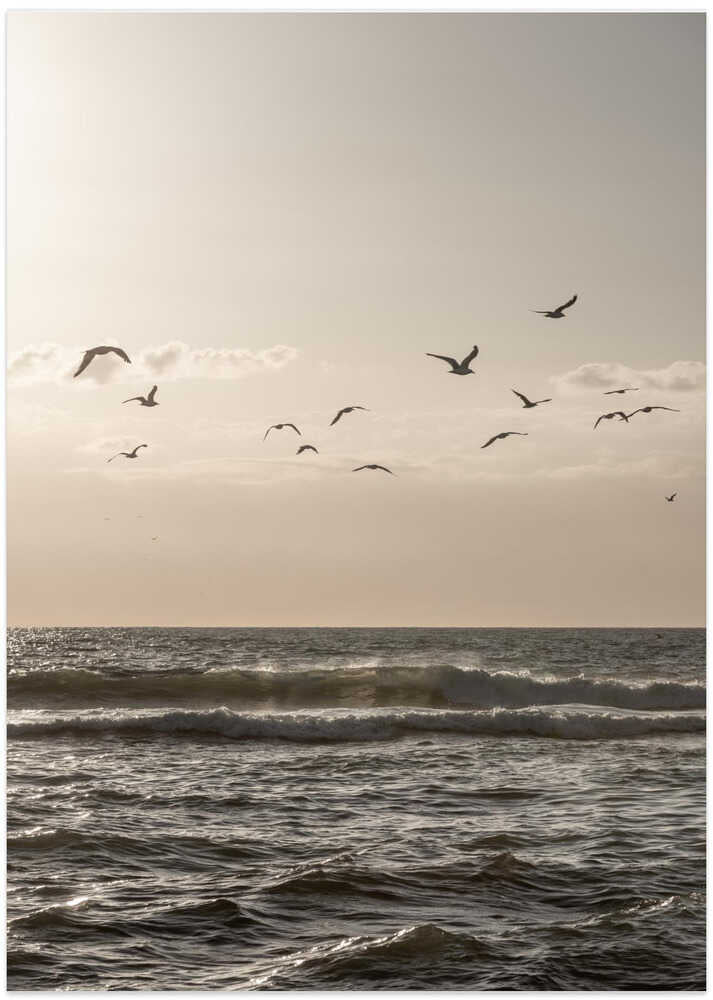 Birds and the Sea 3