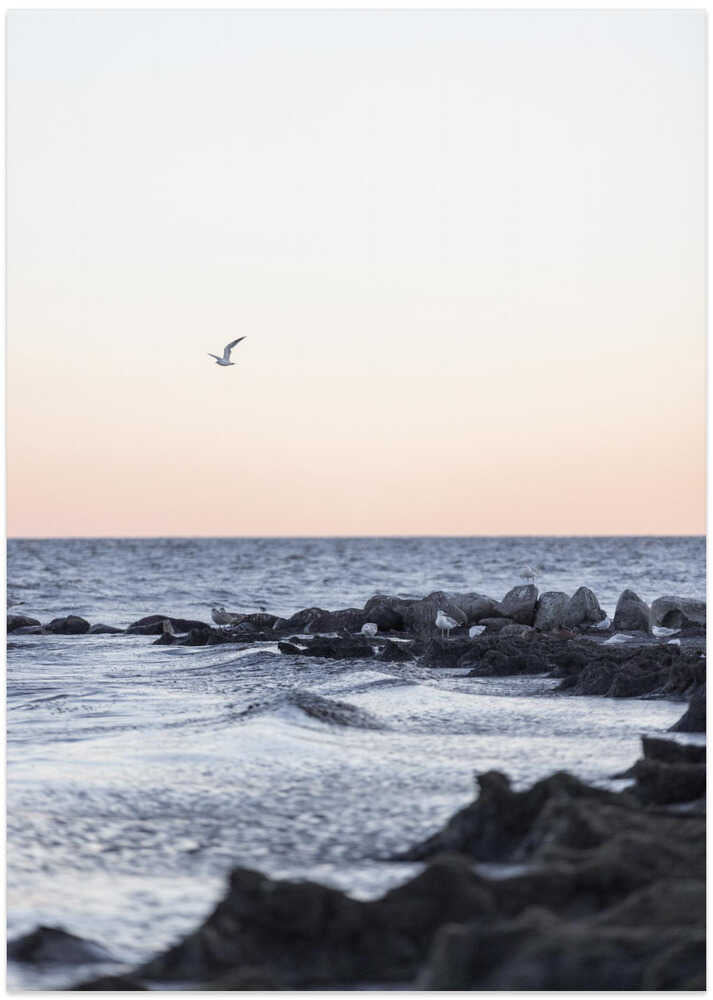 Coast Landscapes 5