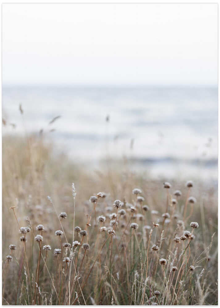 Coast Landscapes 4