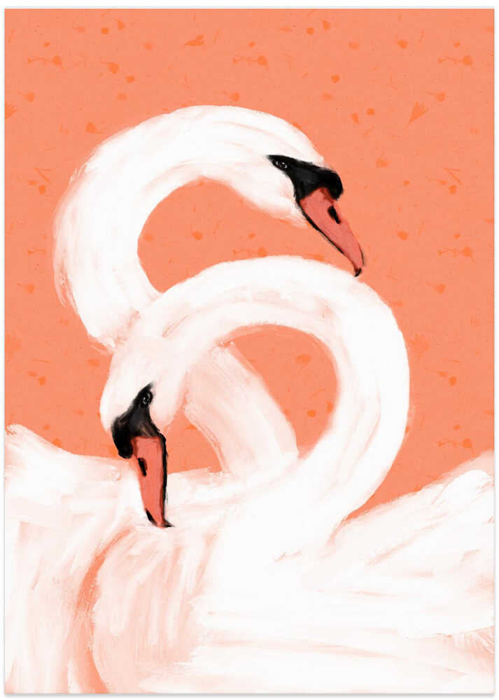 Graceful Swans
