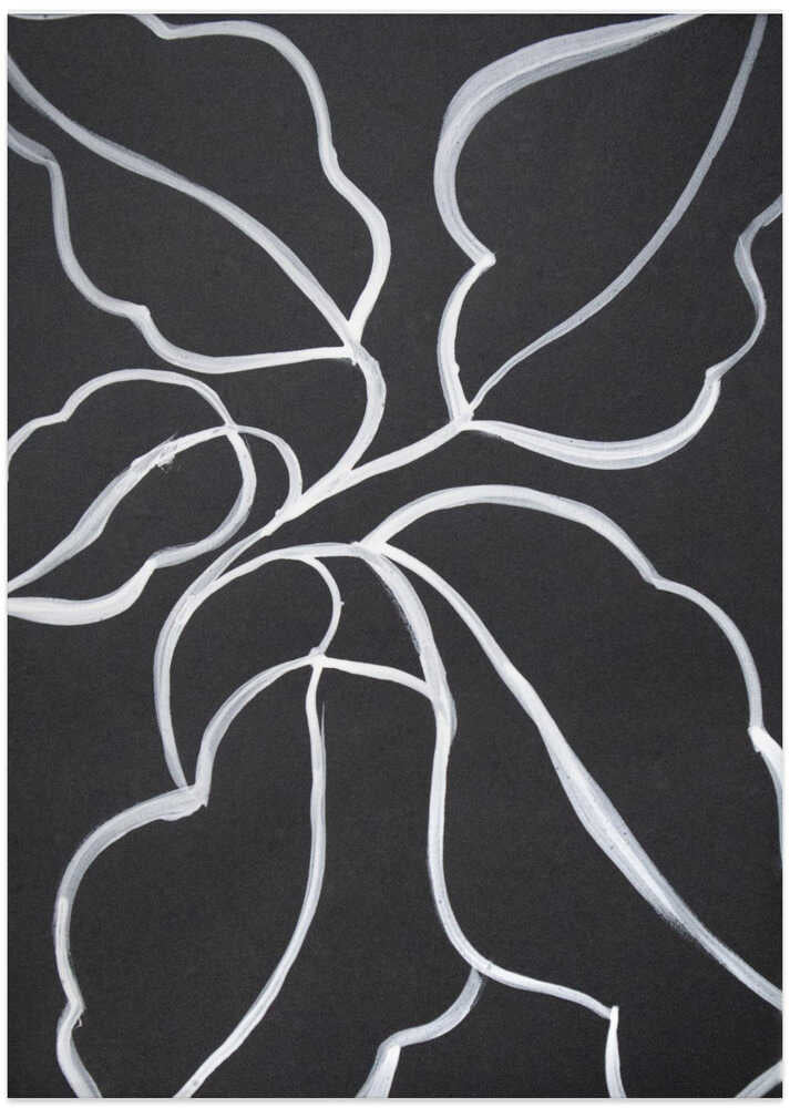 Botanical Line Art