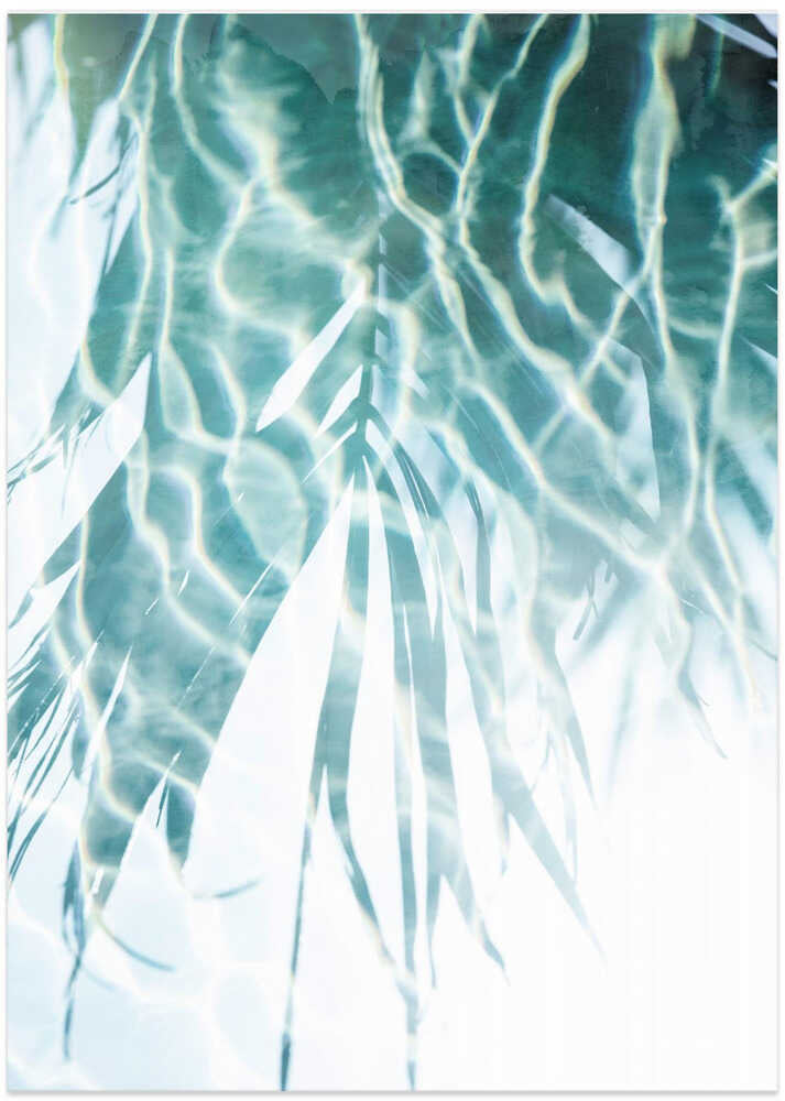 Water Reflections 2