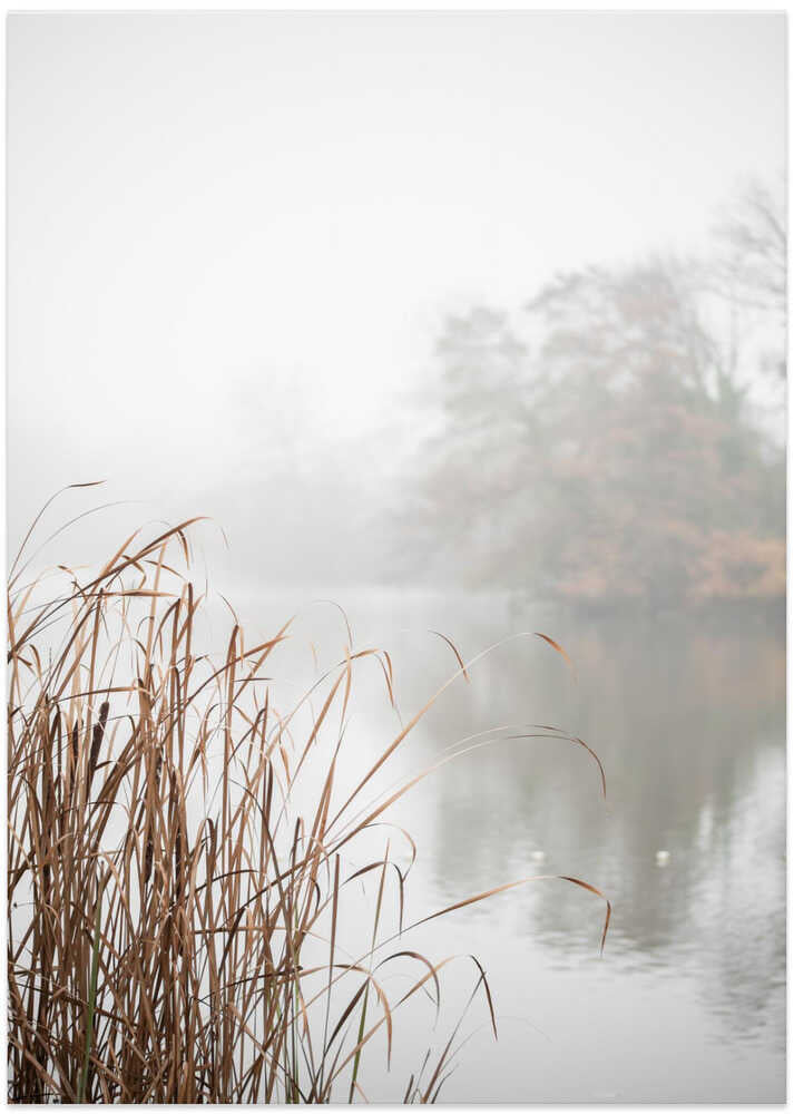 At the Lake