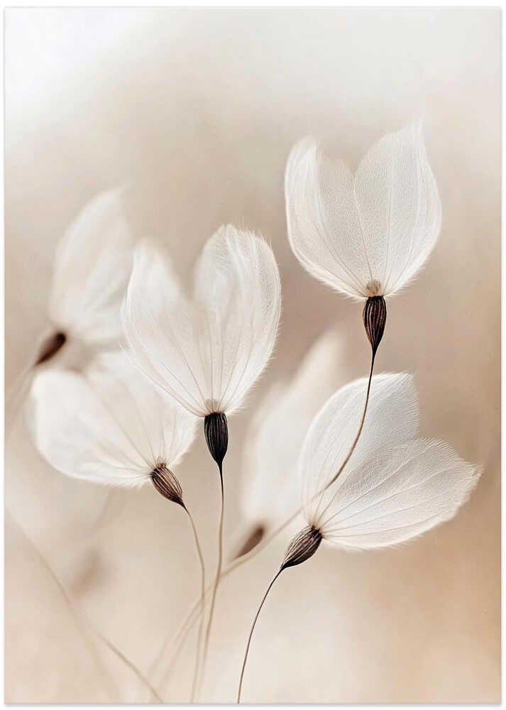 Ethereal Blossoms