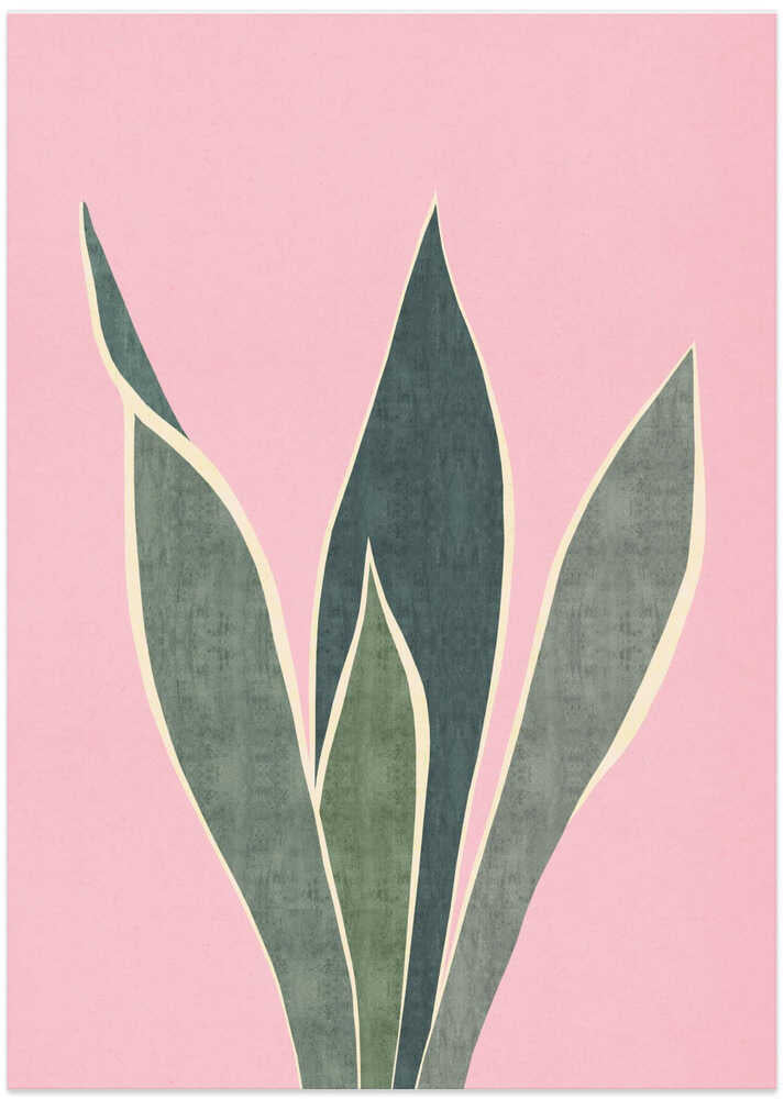 Minimal Pink Foliage