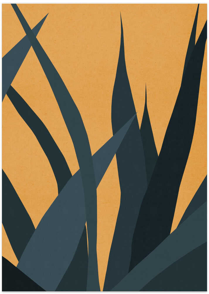 Warm Desert Foliage