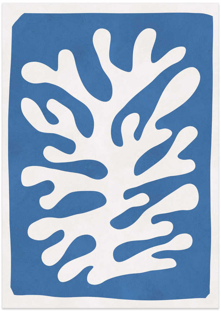 White Coral Abstract