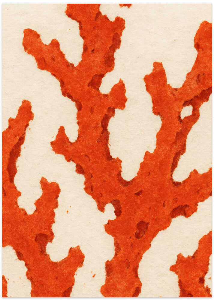 Coral Dreams