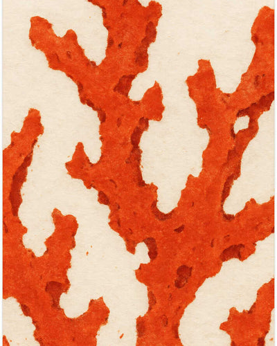 Coral Dreams