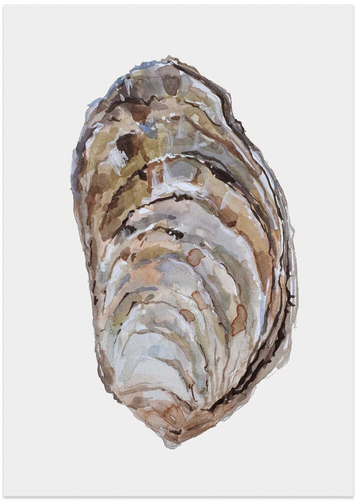Oyster's Elegance