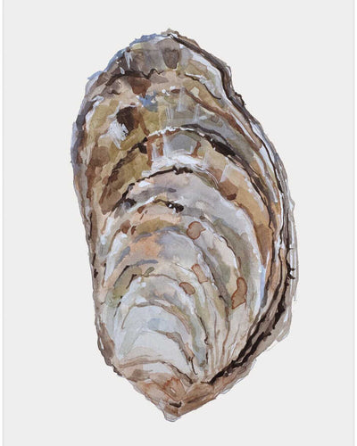 Oyster's Elegance