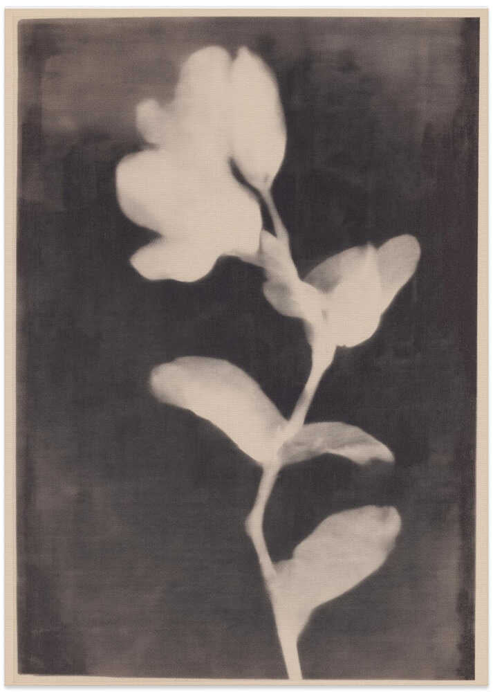 Fadedbloom
