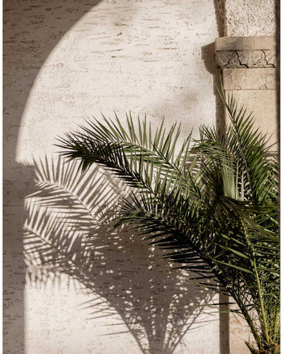 Arched Light 2