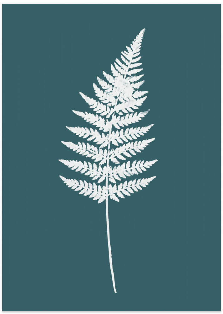 Elegant White Fern