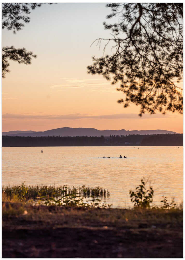 A Swedish Summer 2