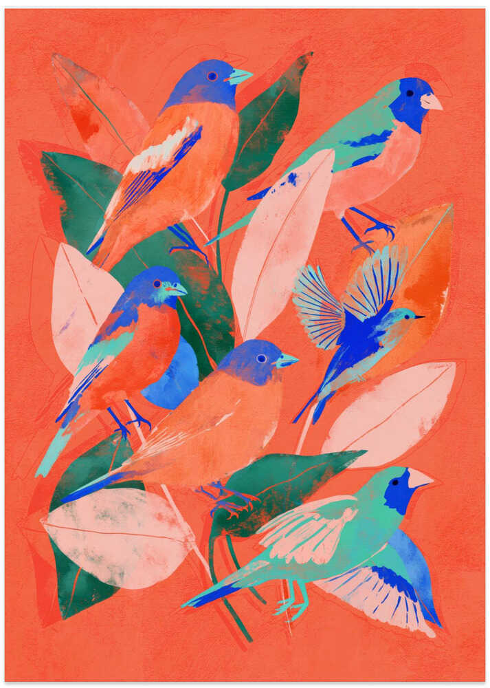 Birdgarden