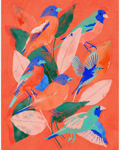 Birdgarden