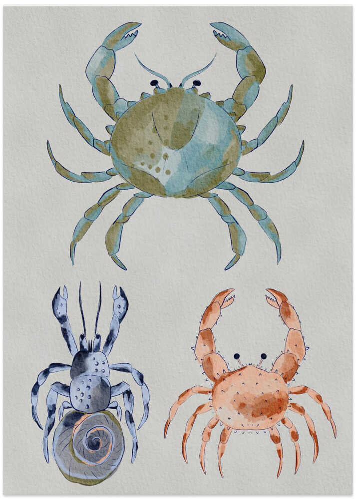 "Ocean Crabs Watercolor" by Nikita Jariwala — Animals Wall Art