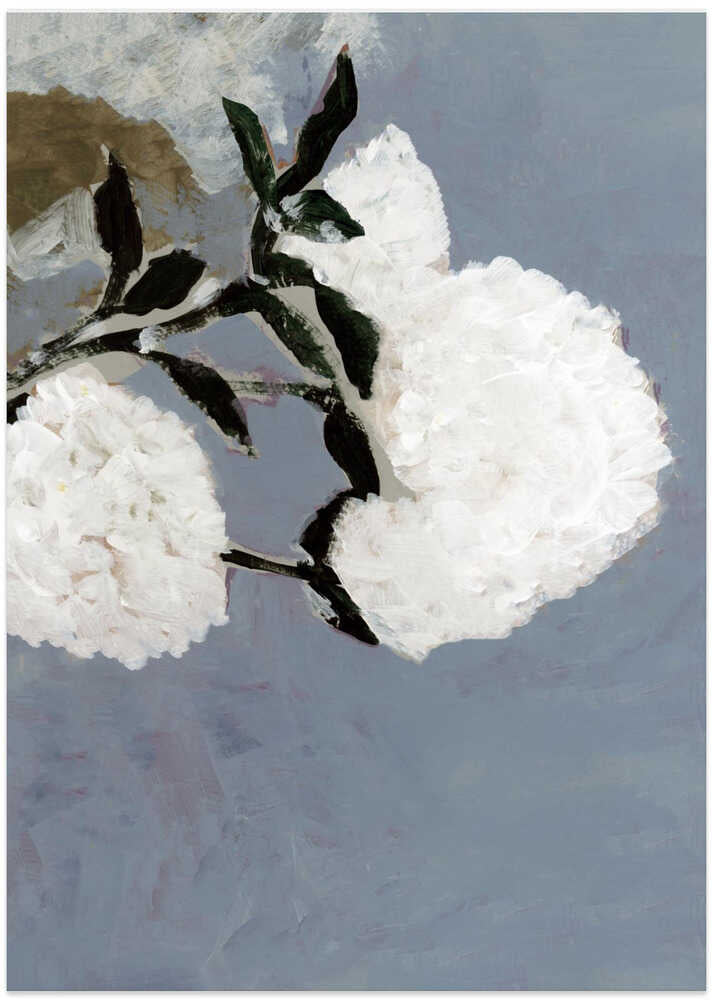 Soft White Blooms